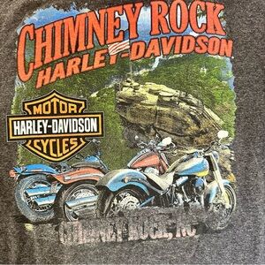 Chimney Rock Harley-Davidson Gray and Blue Graphic Tee men’s xl